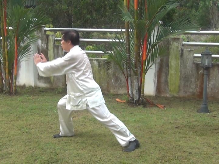 Yang Style Taijiquan, Tai Chi Chuan