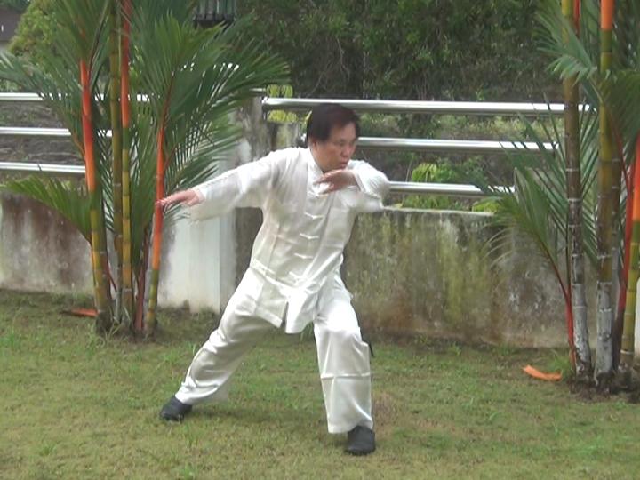 Yang Style Taijiquan, Tai Chi Chuan