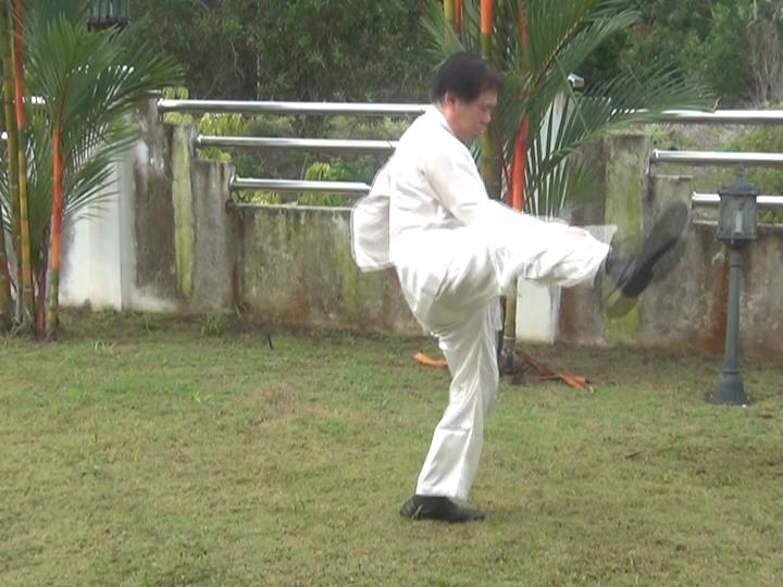 Yang Style Taijiquan, Tai Chi Chuan