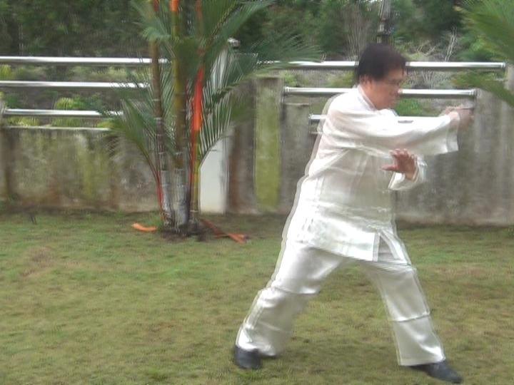 Yang Style Taijiquan, Tai Chi Chuan