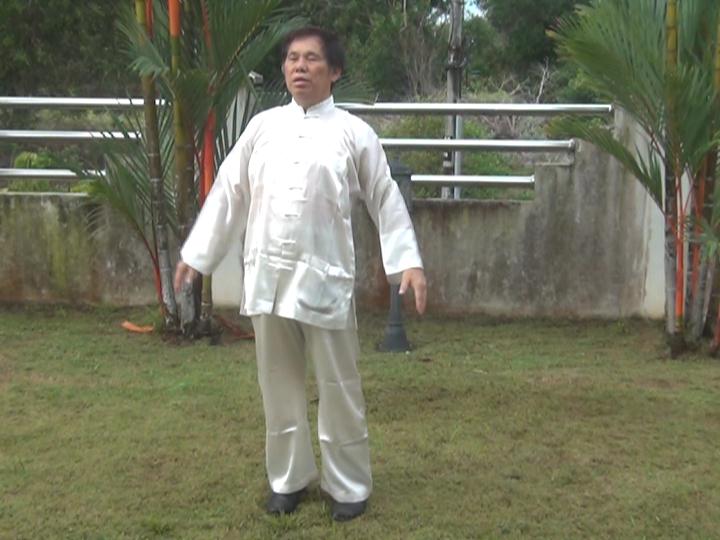 Yang Style Taijiquan, Tai Chi Chuan