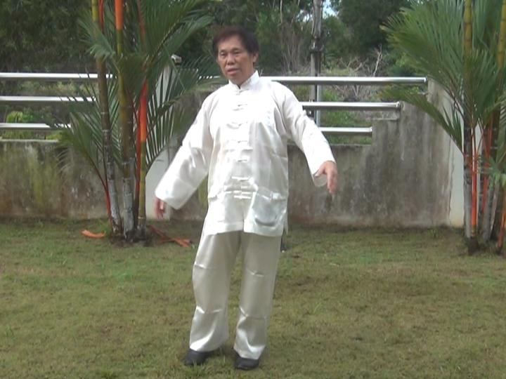 Yang Style Taijiquan, Tai Chi Chuan