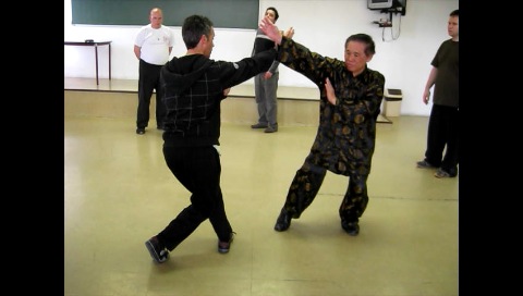 Baguazhang, Pakua Chang