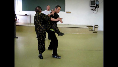 Baguazhang, Pakua Chang