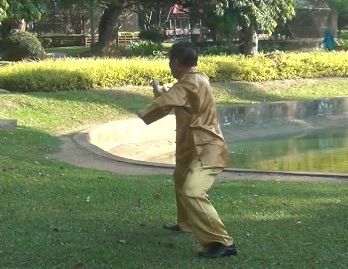 Baguazhang Swimming Dragon Set