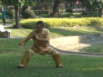 Baguazhang Swimming Dragon Set