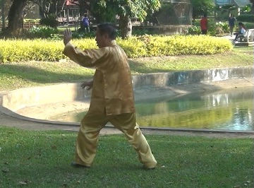 Baguazhang Swimming Dragon Set