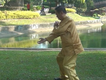 Baguazhang Swimming Dragon Set