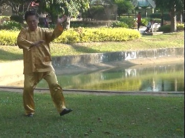 Baguazhang Swimming Dragon Set