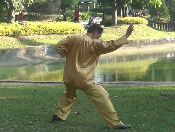 Baguazhang Swimming Dragon Set