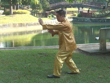 Baguazhang Swimming Dragon Set