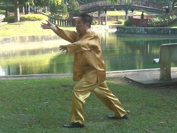 Baguazhang Swimming Dragon Set