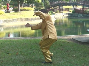 Baguazhang Swimming Dragon Set