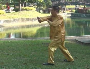 Baguazhang Swimming Dragon Set