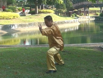 Baguazhang Swimming Dragon Set