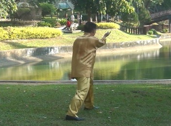 Baguazhang Swimming Dragon Set