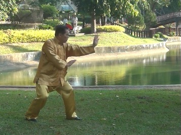 Baguazhang Swimming Dragon Set