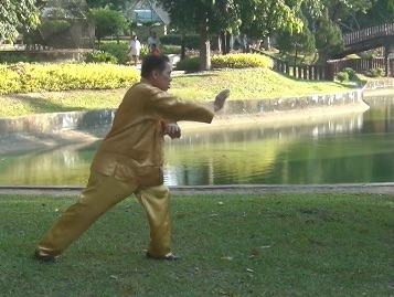 Baguazhang Swimming Dragon Set