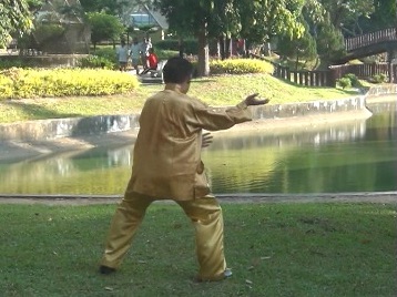 Baguazhang Swimming Dragon Set