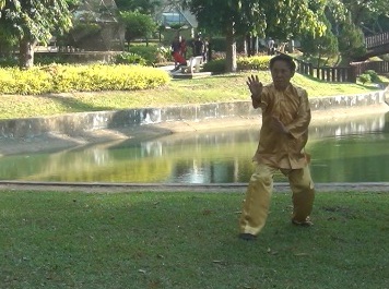 Baguazhang Swimming Dragon Set