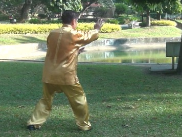 Baguazhang Swimming Dragon Set