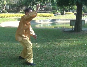 Baguazhang Swimming Dragon Set