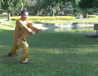 Baguazhang Swimming Dragon Set