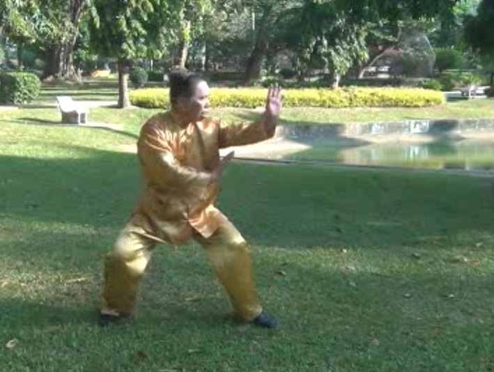 Baguazhang Swimming Dragon Set