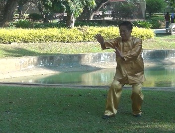 Baguazhang Swimming Dragon Set