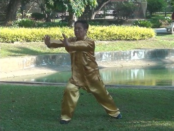 Baguazhang Swimming Dragon Set