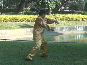 Baguazhang Swimming Dragon Set