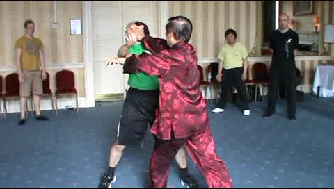 Baguazhang, Pakua Chang