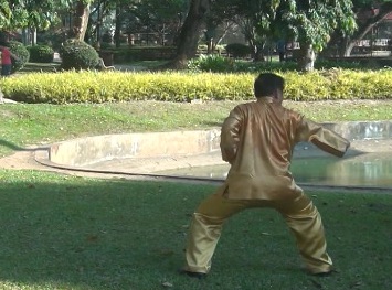 Baguazhang Swimming Dragon Set