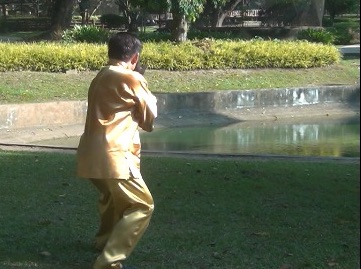 Baguazhang Swimming Dragon Set