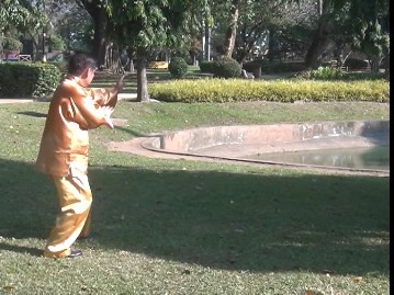 Baguazhang Swimming Dragon Set