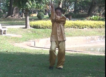 Baguazhang Swimming Dragon Set