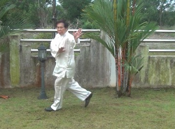 Baguazhang, Pakua Chang