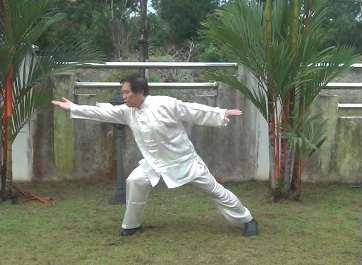 Baguazhang, Pakua Chang