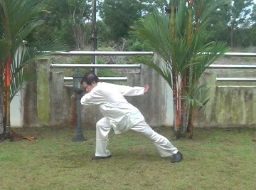 Baguazhang, Pakua Chang