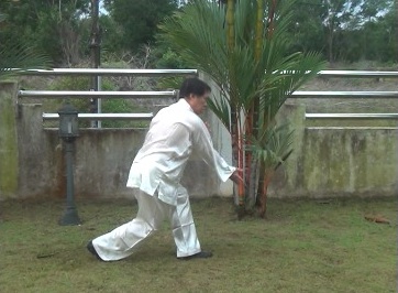 Baguazhang, Pakua Chang