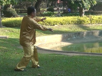 Baguazhang, Pakua chang