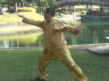 Baguazhang, Pakua chang