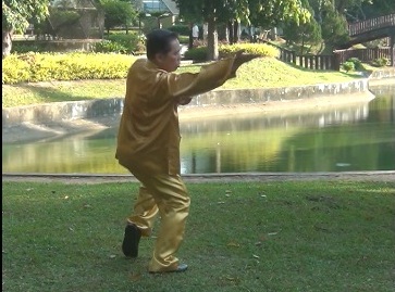 Swimming Dragon Baguazhang Set