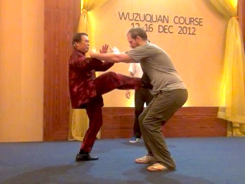 Wuzuquan sparring