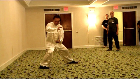 Tai Chi Chuan, Taijiquan