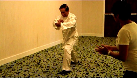 Tai Chi Chuan, Taijiquan