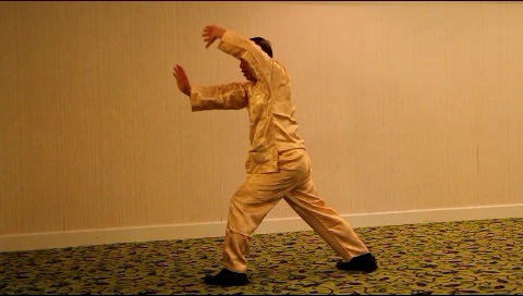 Flowing Water Floating Clouds, Tai Chi Chuan, Taijiquan