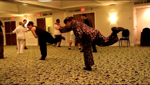 Wudang Tai Chi Chuan, Taijiquan