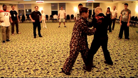 Wudang Tai Chi Chuan, Taijiquan