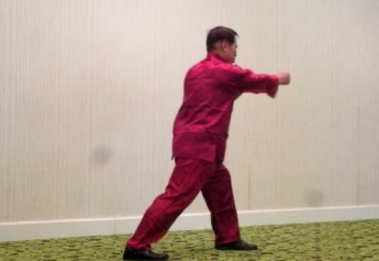 Yang Style Tai Chi Chuan, Taijiquan